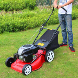 Simple Hand Push Self Propelled Lawn Mower Gasoline Four Stroke Farm 173cc